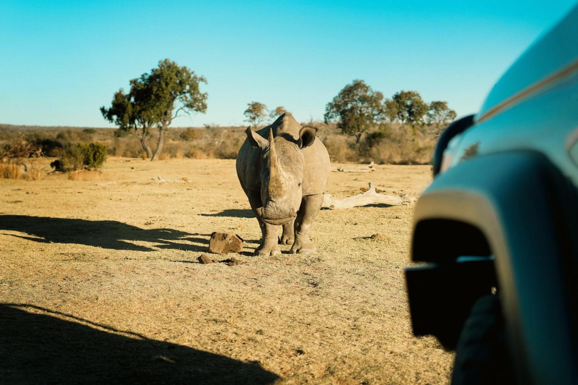 Shibula Safari Lodge Welgevonden viltreservat Exteriör bild